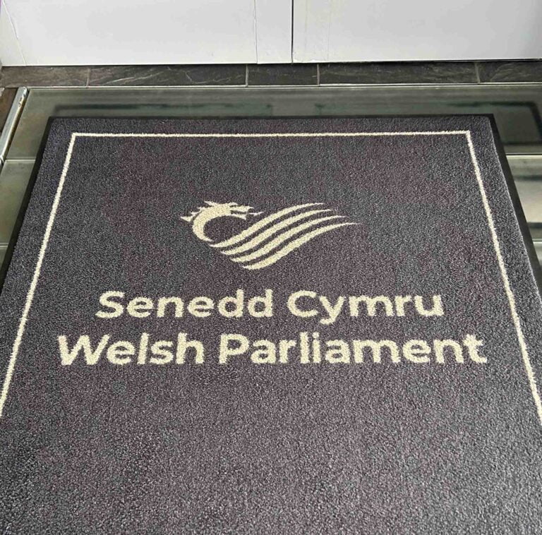 Naomi visits the Senedd Cymru