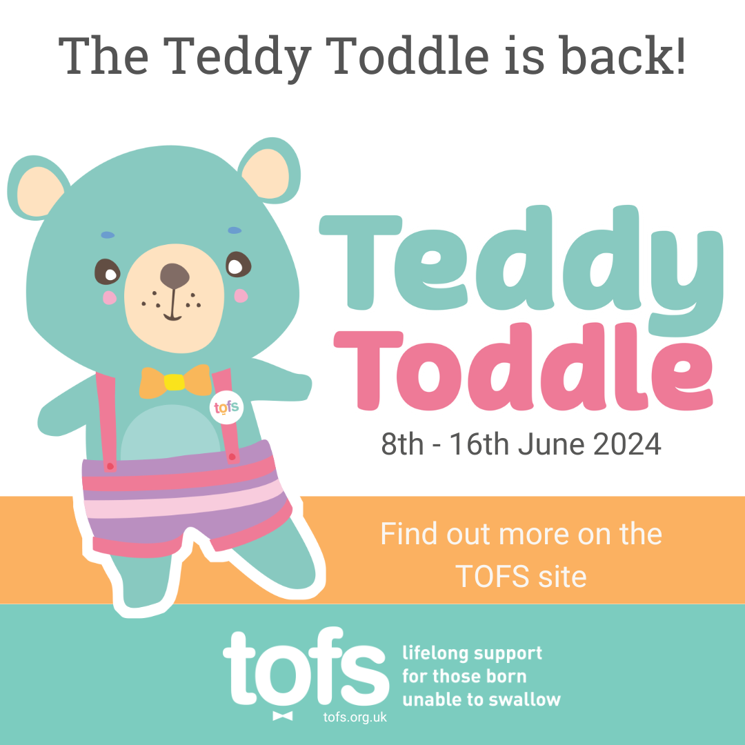 TOF teddy Toddle 2024