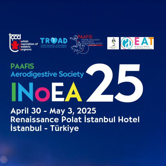 INoEA 25 conference