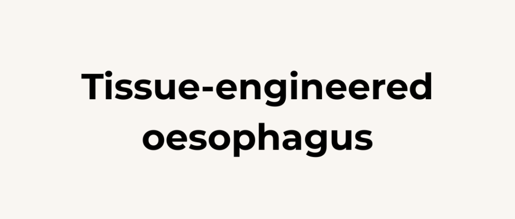 Tissue-engineered oesophagus_
